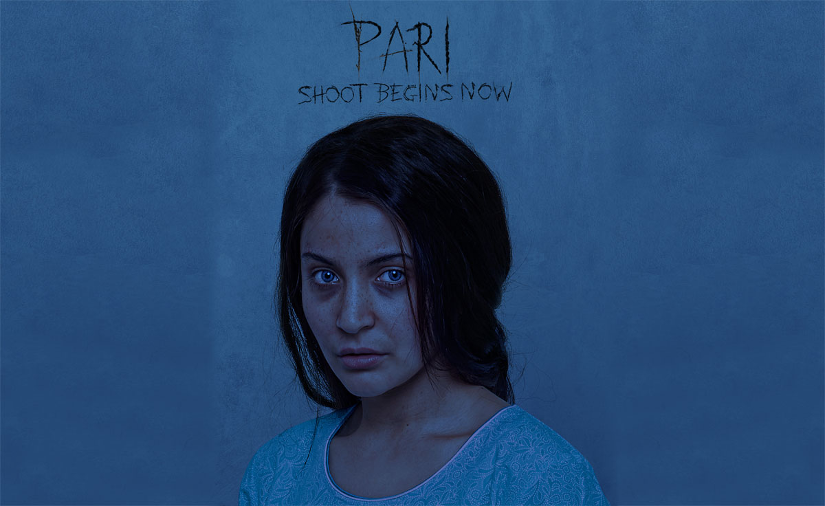 Anushka Stuns In The First Look Of Pari!