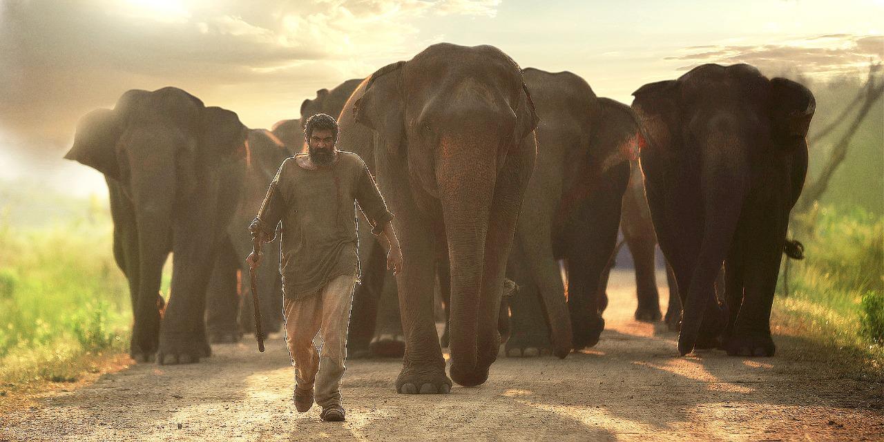 Rana Daggubati’s physical transformation for Haathi Mere Saathi