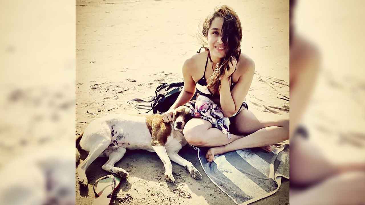 Shraddha Kapoor urges to feed and save stray animals