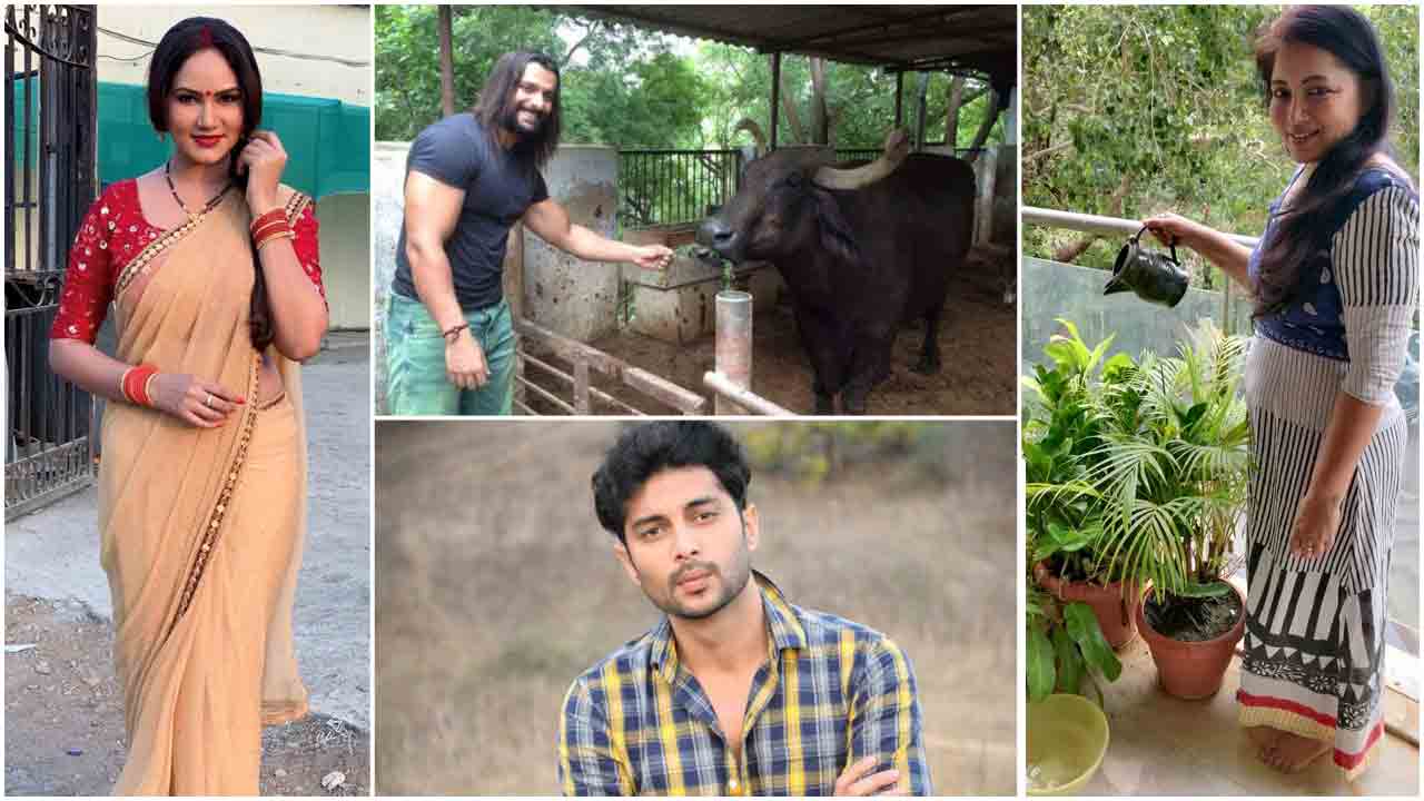 On World Environment Day, &TV actors vouch to be environmentally responsible citizens