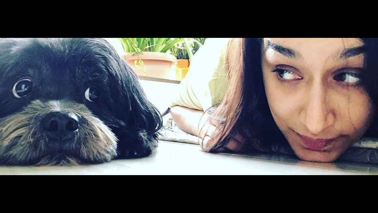 Megawatt animal lover, Shraddha Kapoor, wants stricter laws against animal cruelty