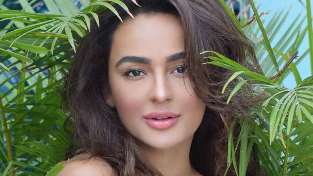 Tollywood beauty Seerat Kapoor to debut in Bollywood this year