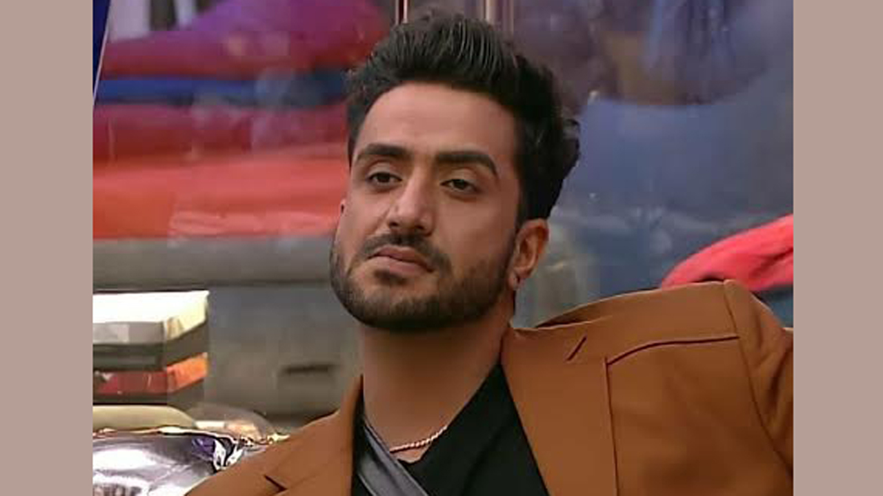 Aly Goni wins the Valentine’s special task in BB14!