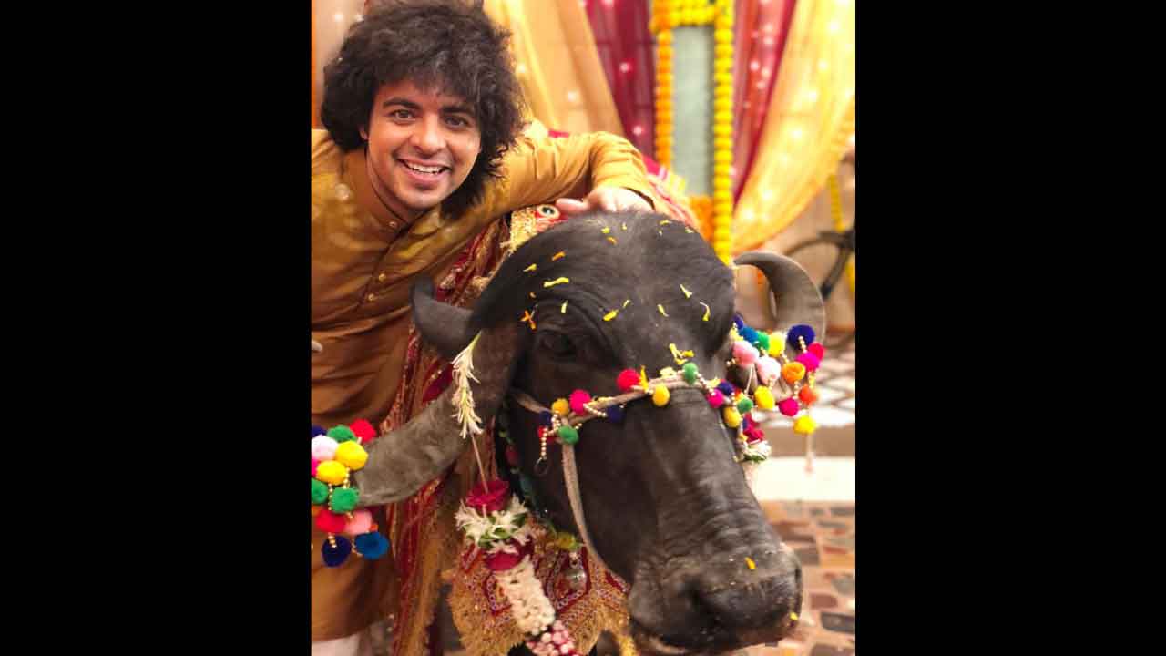 ‘Sargam Ki Sadhe Satii’ actor Akash Makhija says that shooting with a Buffalo was really a ‘Chucklesome Experience’!