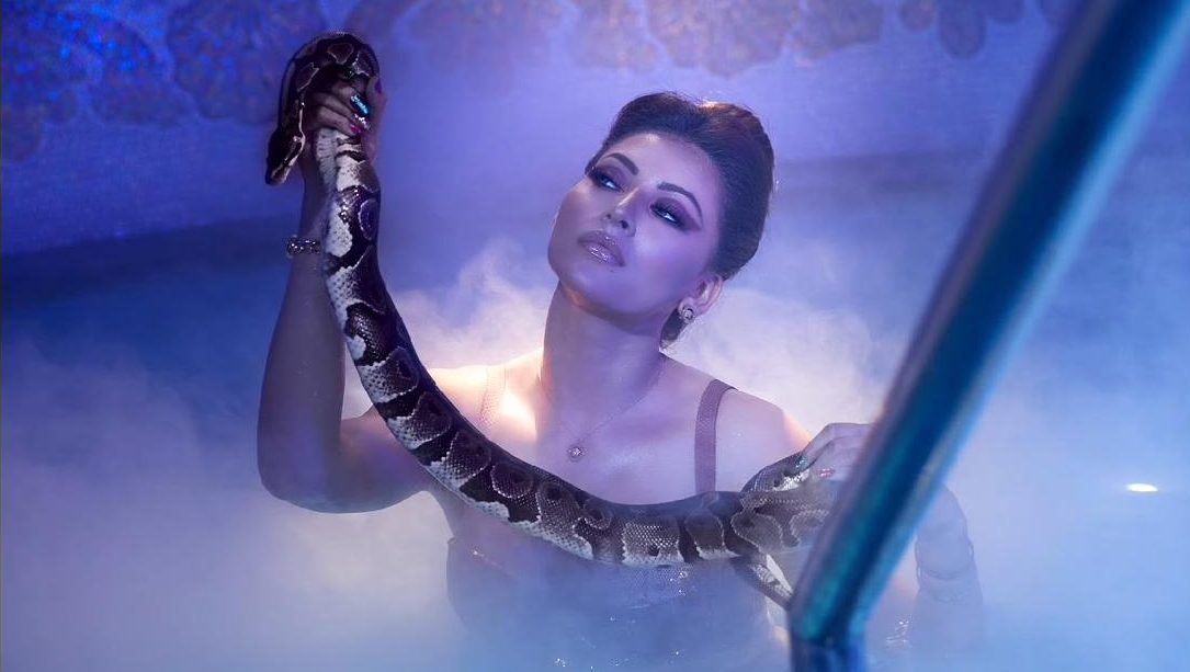 On Eid Urvashi Rautela shared a fascinating picture posing with a snake!