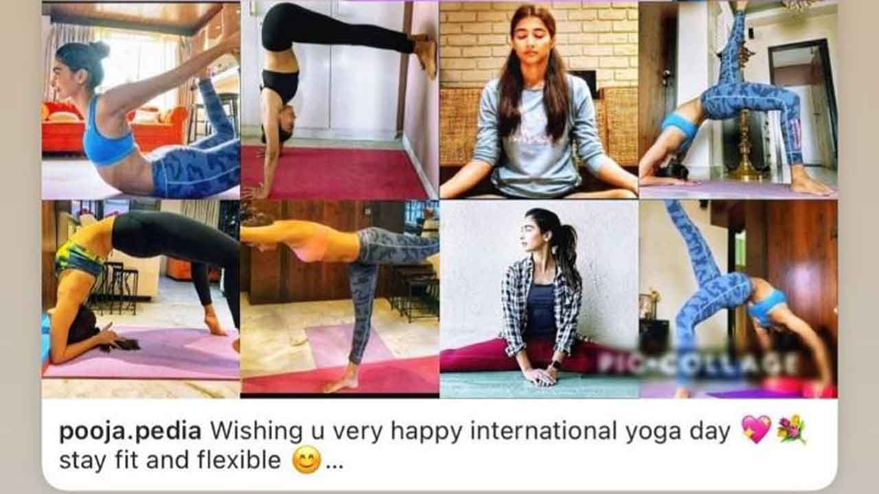 Fans make Pooja Hegde’s collage of her poses for International Yoga Day!