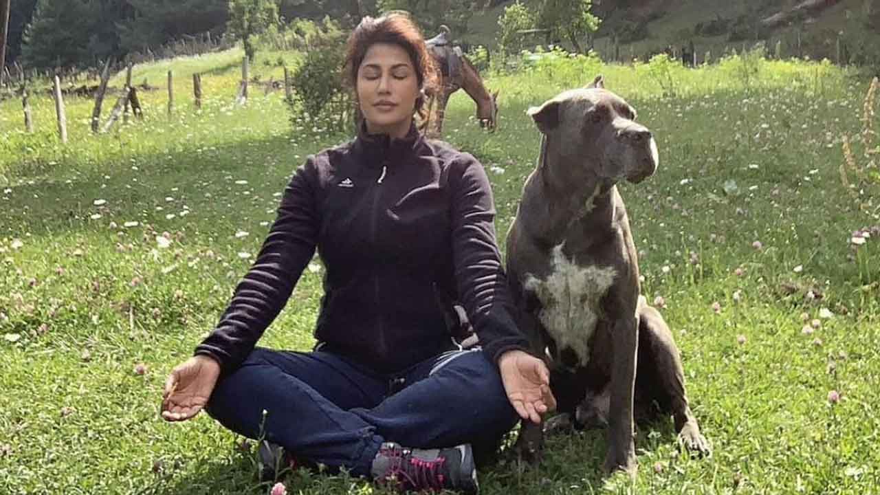 Chitrangda Singh is in Kashmir, celebrates Yoga Day in the mountains!