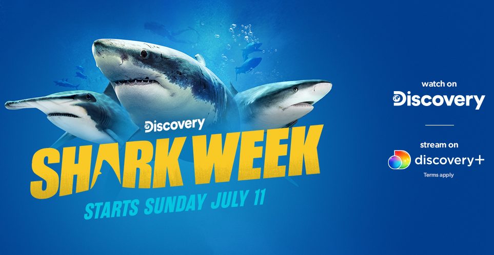 SHARK WEEK’s 33rd year will take audience to new locations to study and record new shark behaviours!