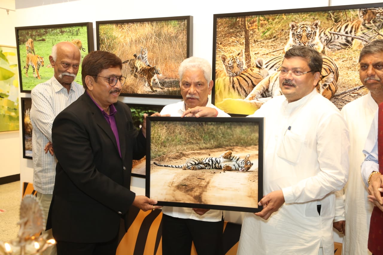 Multiple emotions of Tigers captured through the camera by Hemant Sawant, an exhibition inaugurated at the Jahangir Art Gallery, Mumbai!