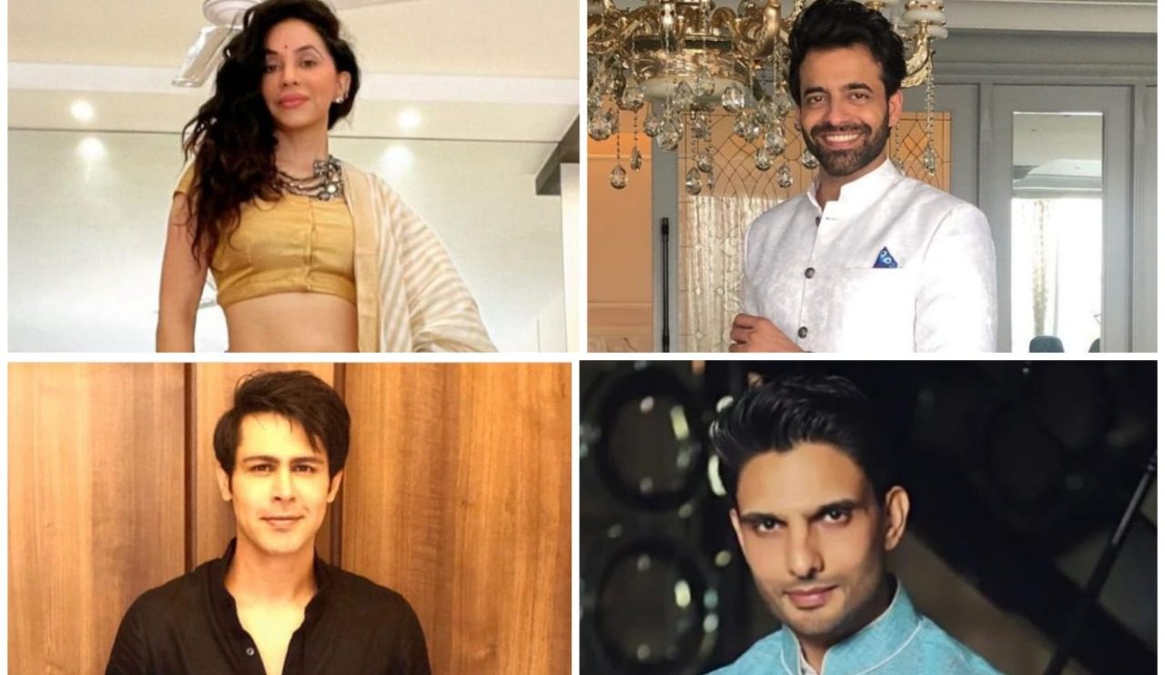 Television stars reveal their plans for Janmashtami!