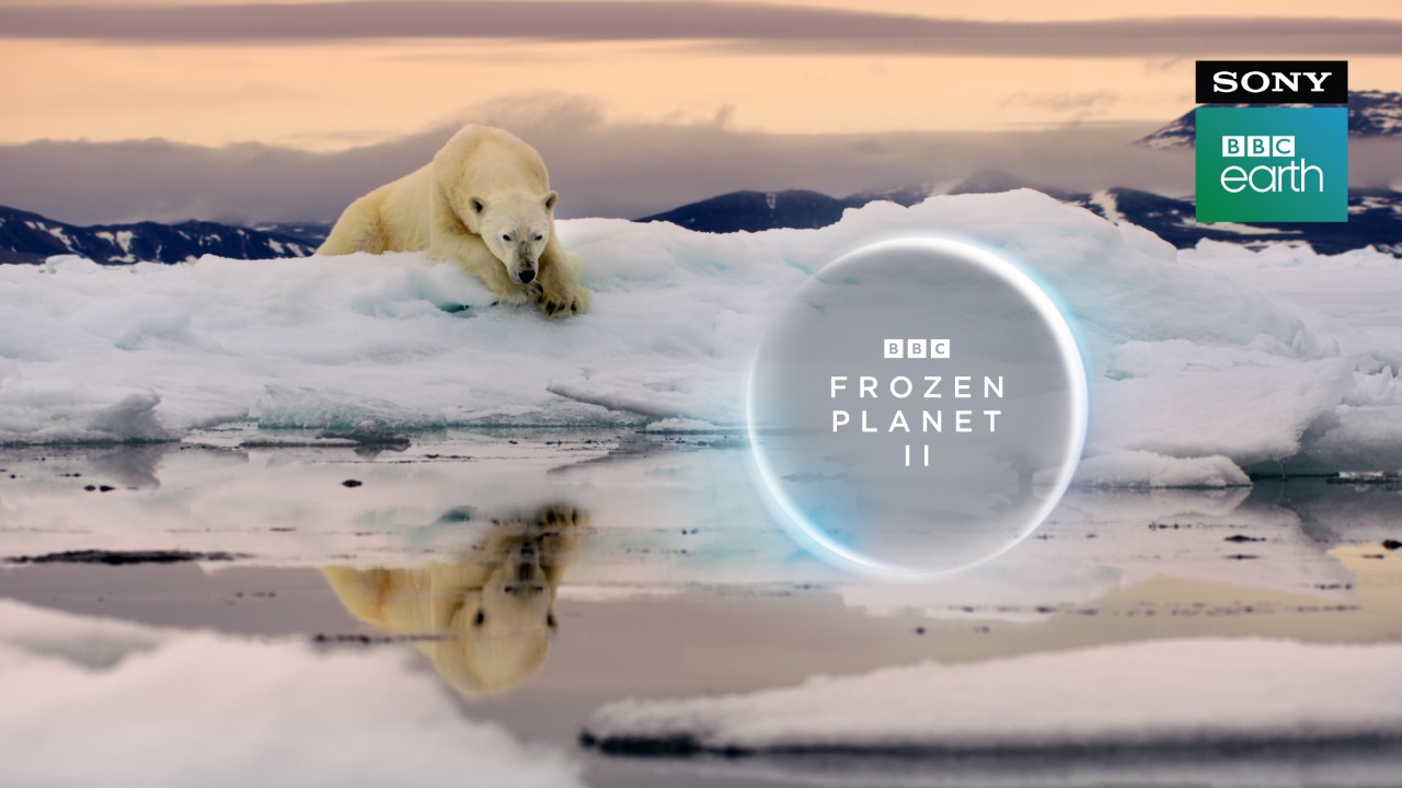 Second season of ‘Frozen Planet’ on Sony BBC Earth!