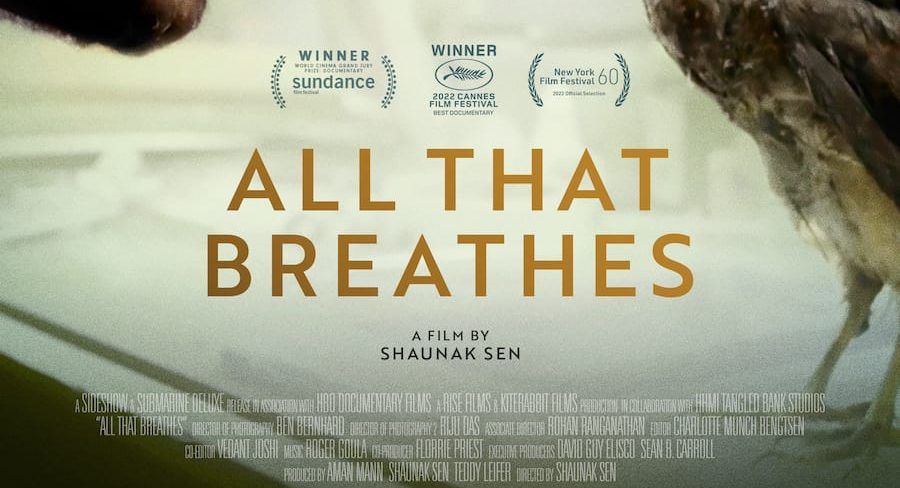 Shaunak Sen’s “All That Breathes” to screen at ALTEFF!