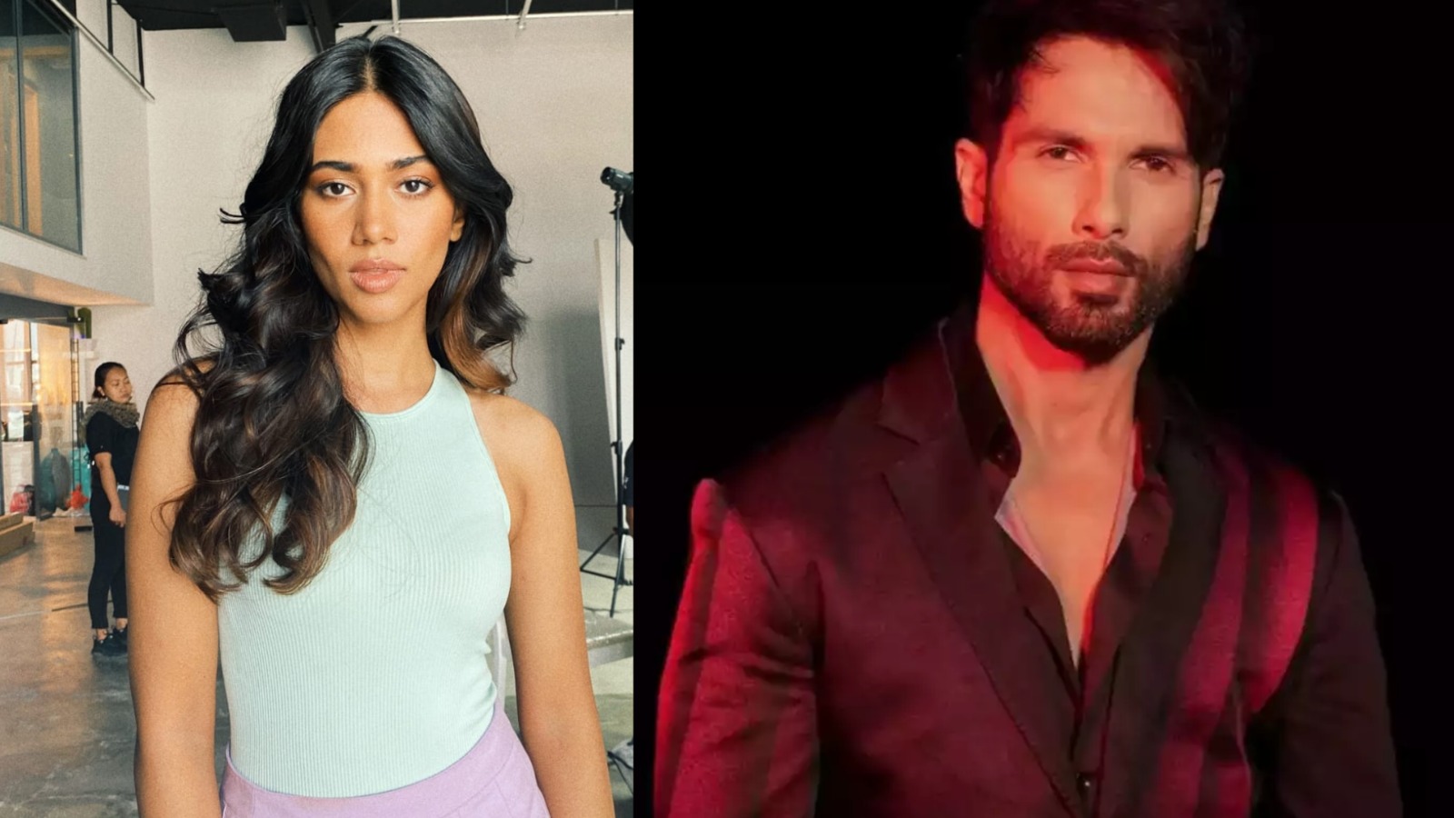 Is Shahid Kapoor fighting for Aparna Nayr in ‘Bloody Daddy’?
