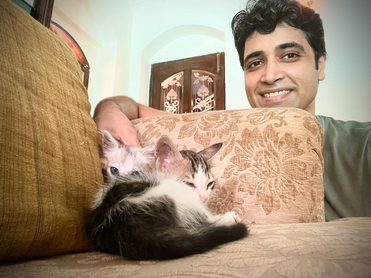 Adivi Sesh adopts two stray kittens!