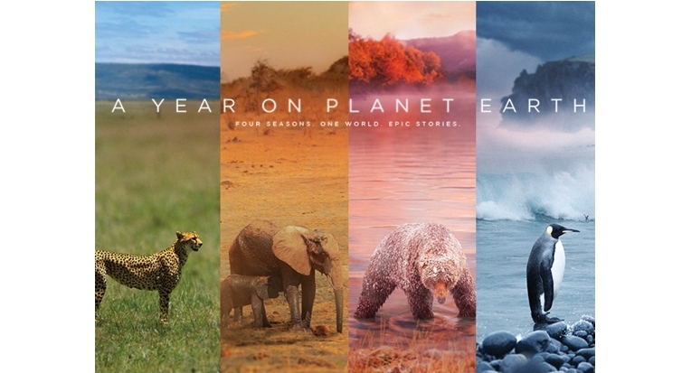 Animal Planet celebrates World Wildlife Day!